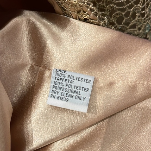 Rickie Freeman TERI JON Gown - Picture 13 of 17